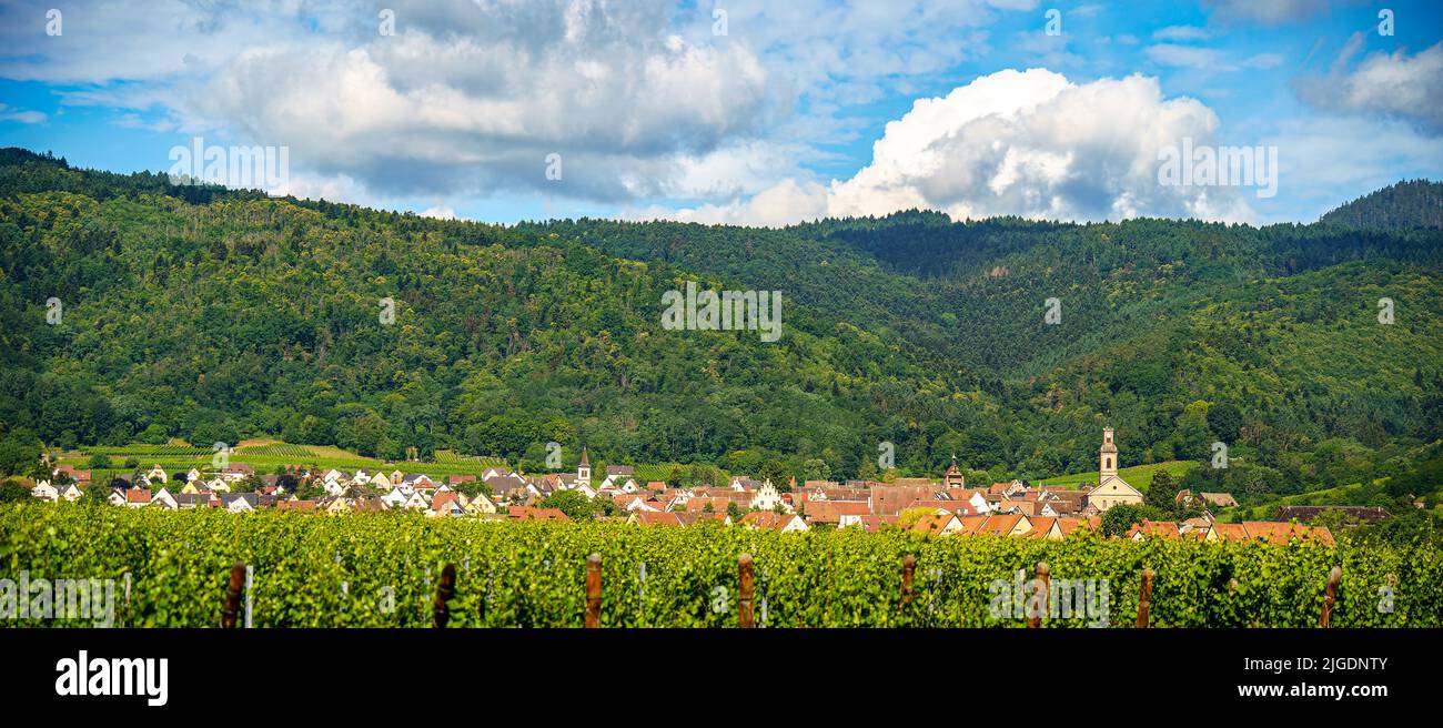 Elsass Landschaft, Frankreich Stockfoto