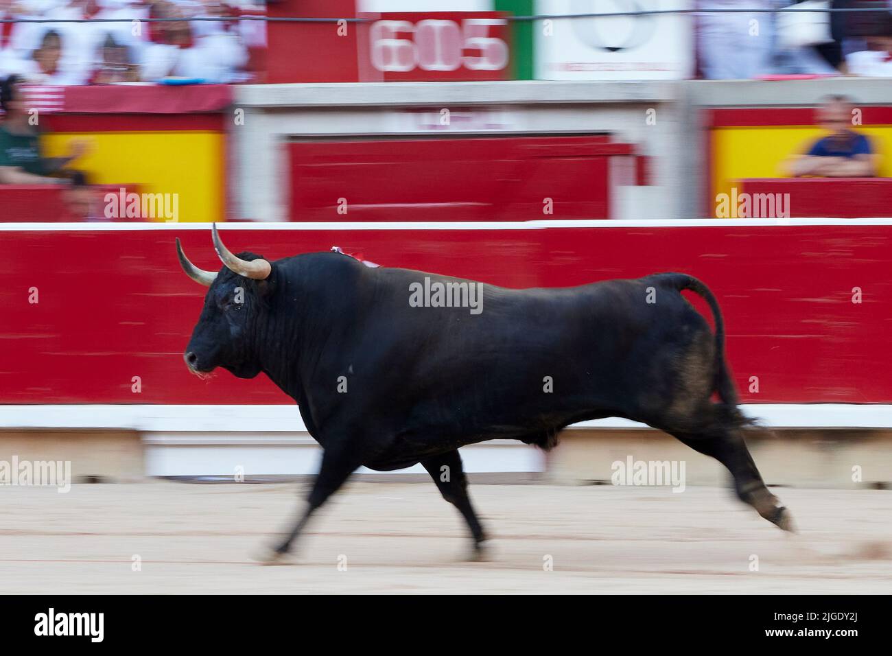 Ein Stier während eines Stierkampfes beim San Fermin Festival in Pamplona, Nordspanien, 7. Juli 2022 (Foto: Ruben Albarran / PRESSINPHOTO) Stockfoto