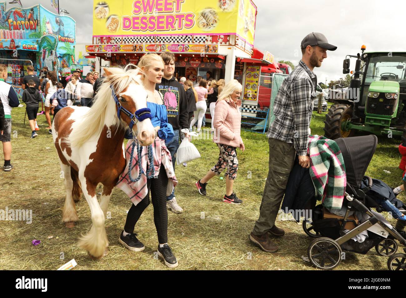 Eine junge Frau führt ein farbiges Pony durch das Messegelände. Appleby Horse Fair, Appleby in Westmorland, Cumbria Stockfoto