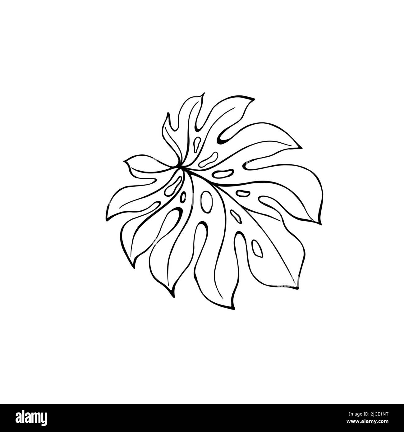 Monstera Blatt Linie Kunst. Kontur Zeichnung. Minimalistische Kunst. Moderne Einrichtung. Stockfoto