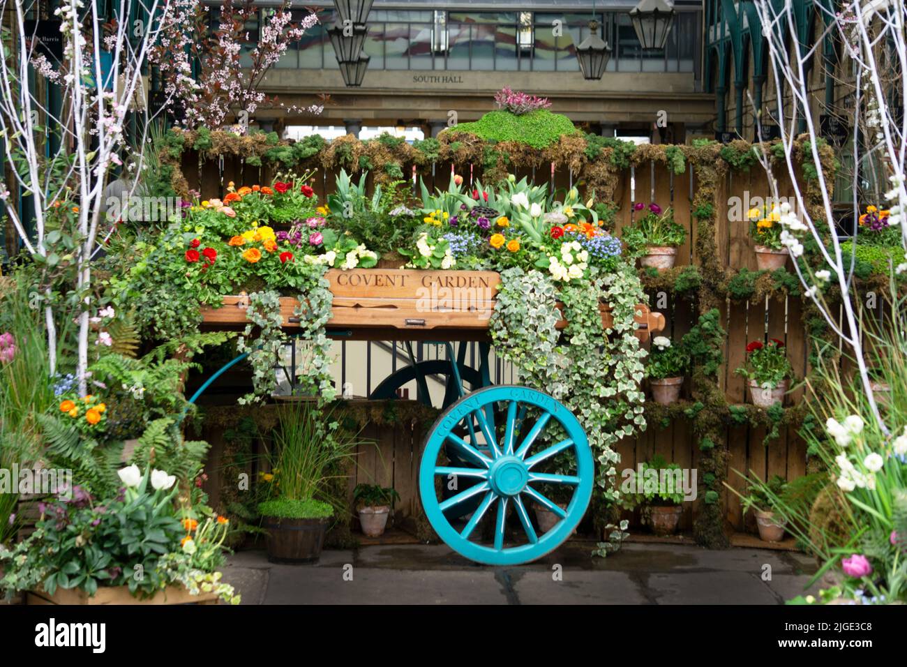 Verschiedene Fotos der Karren mit Blumen und Grün rund um Covent Gardens, London, England. Stockfoto