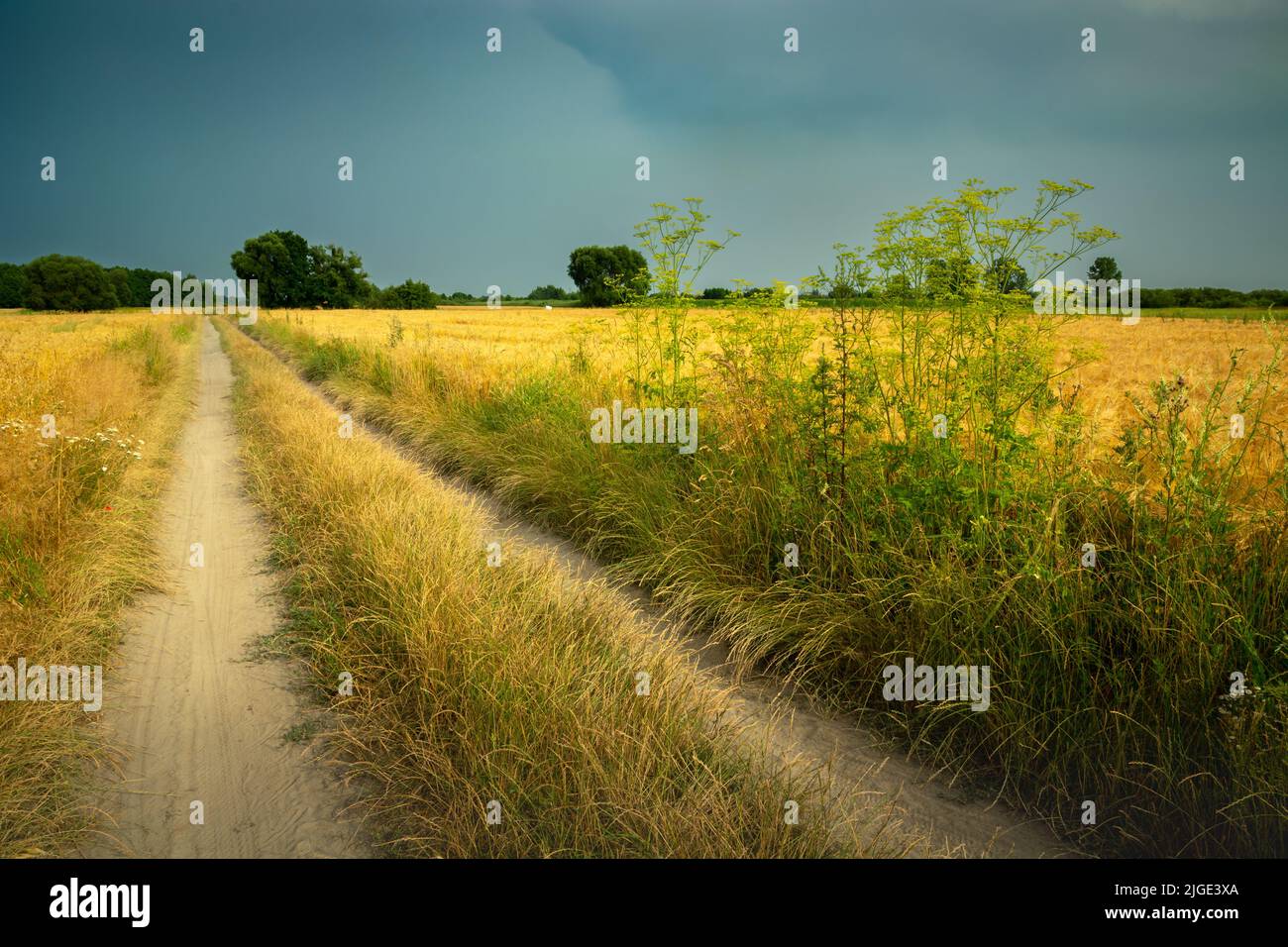 Eine unbefestigte Straße durch Felder und bewölkten Himmel, Sommer ländlichen Blick Stockfoto