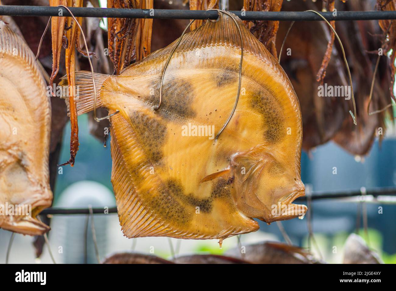 Rauchgetrockneter Steinbutt-Plattfisch auf einem Fischmarkt, der gerade mit Holzschnitzeln in einem Raucher geraucht und fertig zum Essen ist Stockfoto