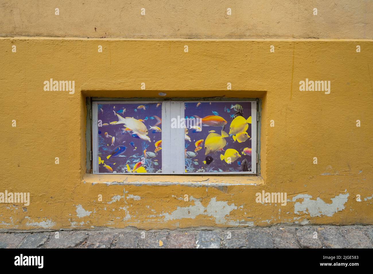 Tallinn, Estland. Juli 2022. Der Fisch wurde auf einem alten Fenster eines Hauses im Stadtzentrum gezeichnet Stockfoto
