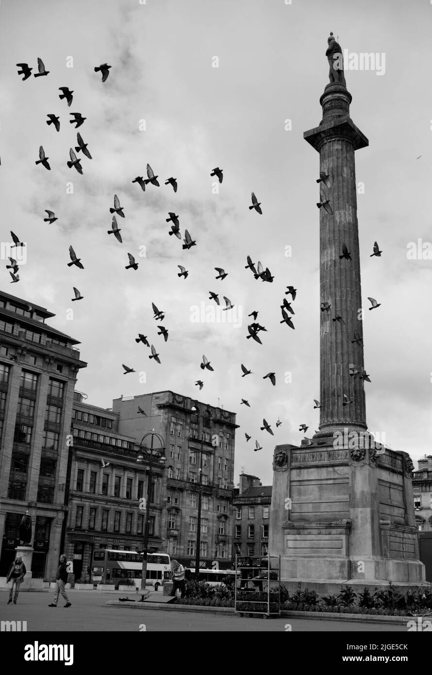 George Square, Glasgow Stockfoto