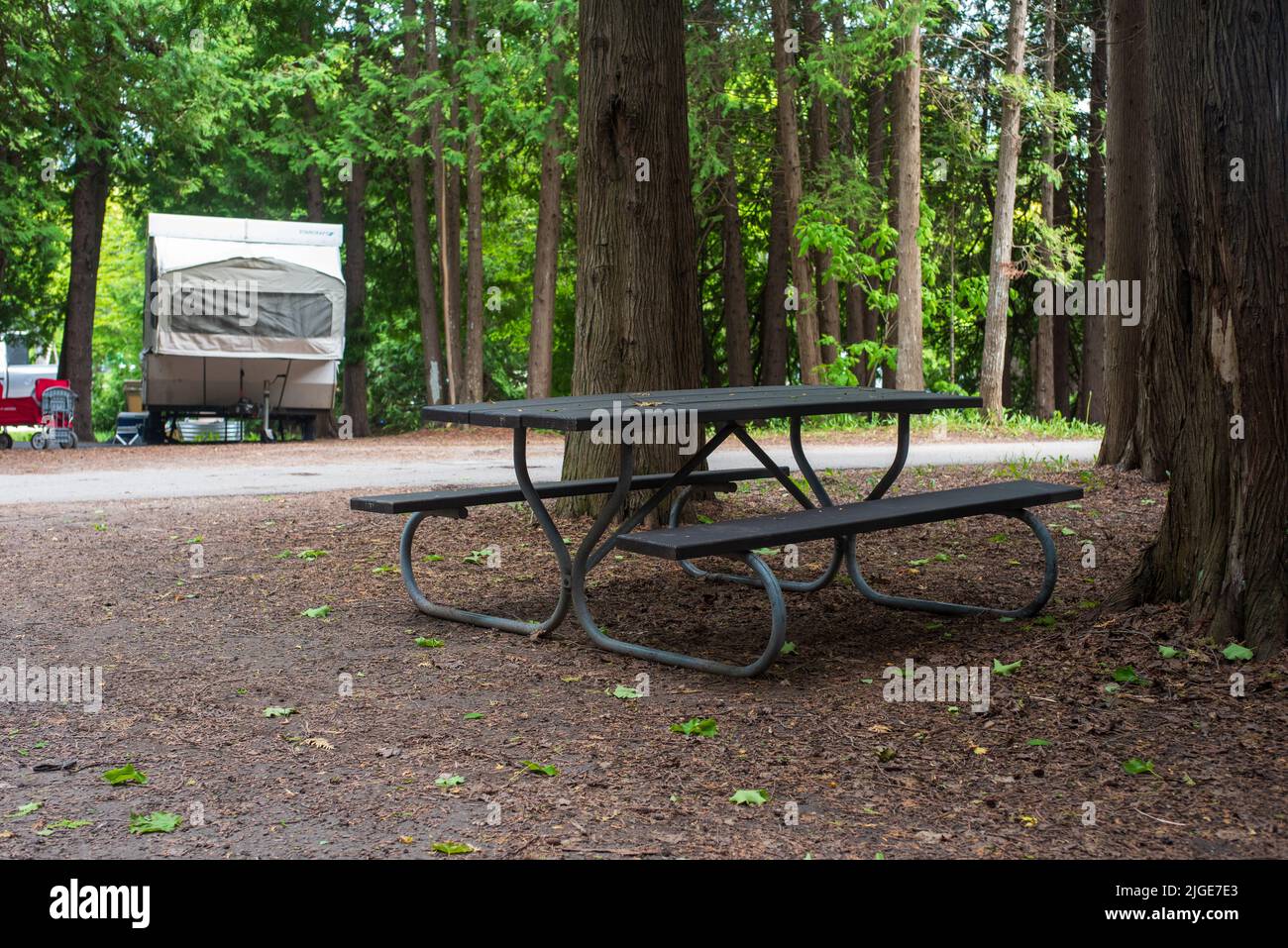 Hölzerner Picknicktisch auf einem Campingplatz in einem Michigan State Park Stockfoto