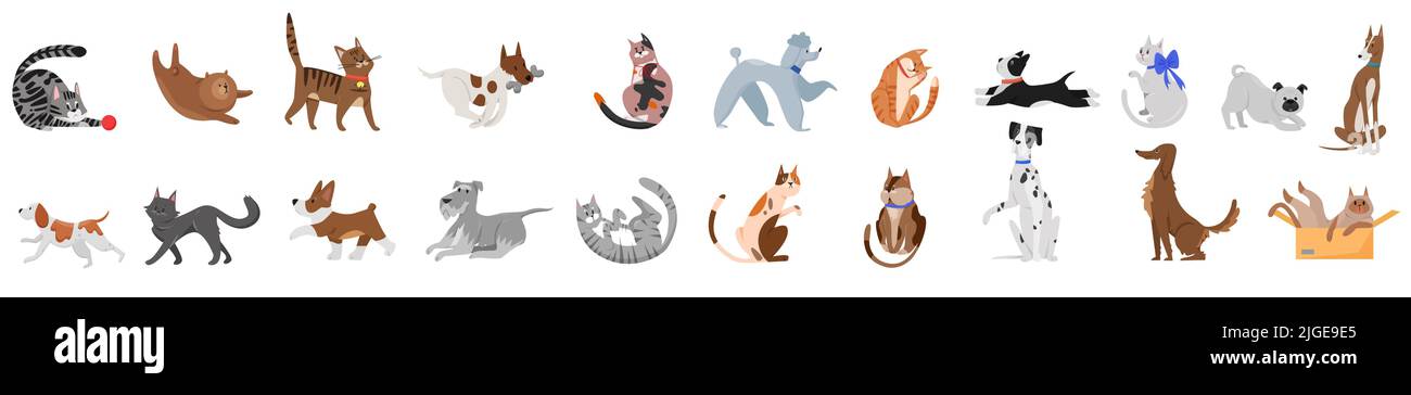 Niedliche Hunde und Katzen Posen Set Vektor Illustration. Cartoon-Porträt von verspielten Haustieren mit lustigen Gesichtern, Schwanz und Fell, entzückende Welpen und Kätzchen spielen mit Spielzeug, sitzen in der Box, läuft isoliert auf weiß Stock Vektor
