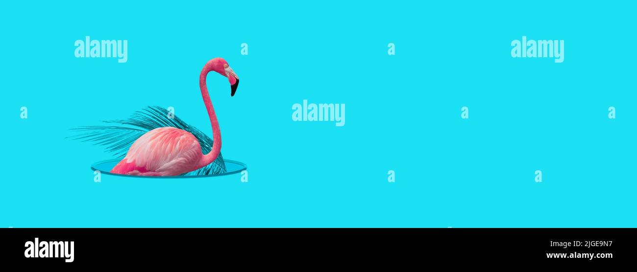 Flamingo-Design in Loch auf sommerblauem Hintergrund. Stockfoto