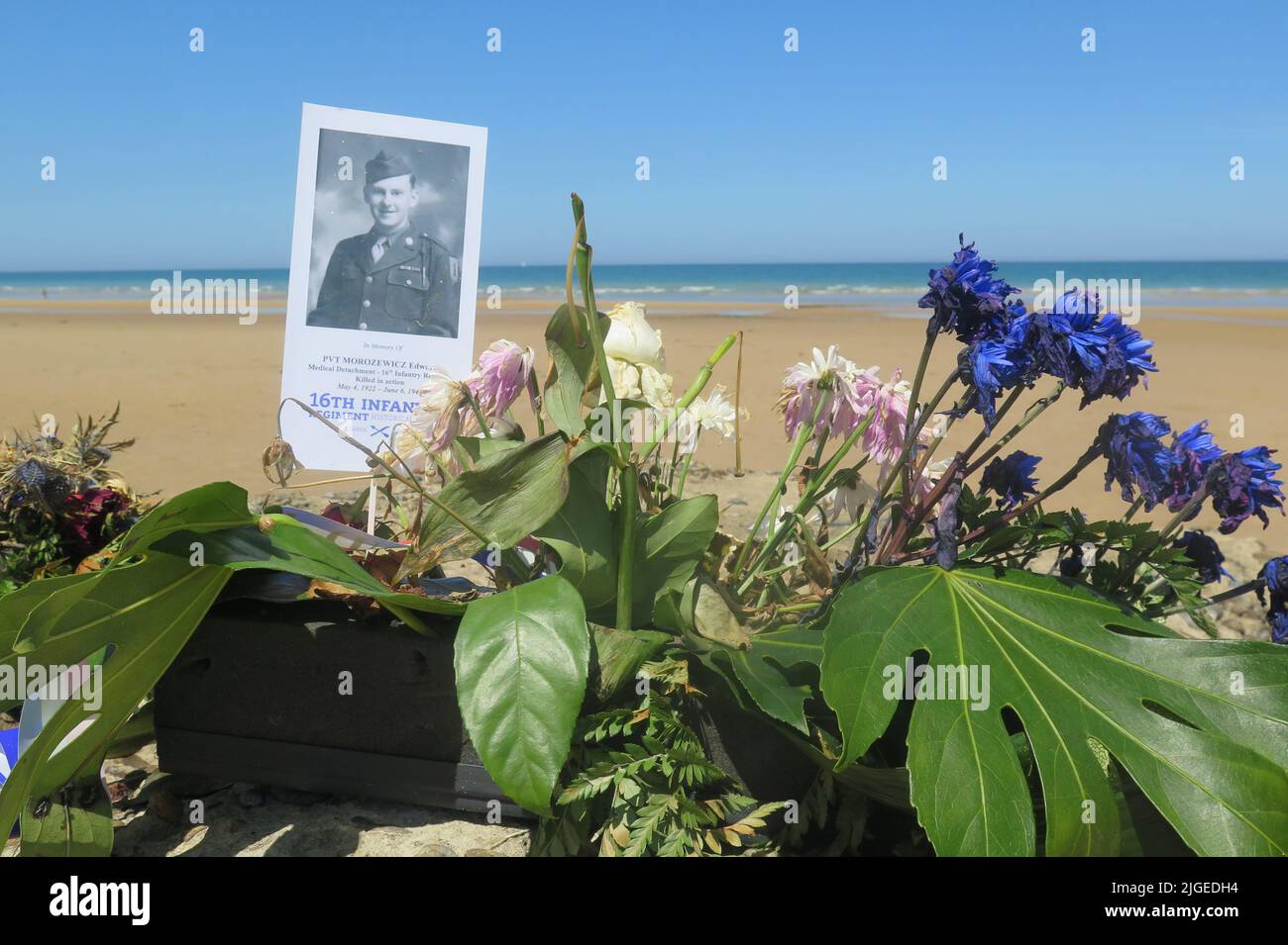 Blumen und ein Foto auf einem Gedenkstein erinnern an den 22-jährigen Mediziner Edward Morozewicz, der am 6. Juni 1944 in Omaha Beach getötet wurde, Arromanches-Les-Bains, Fra Stockfoto