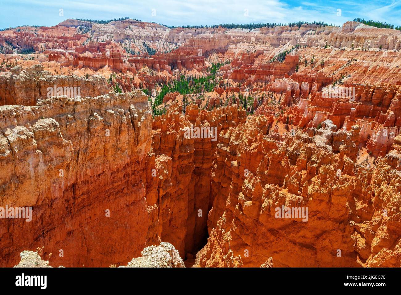 Red Rocks im Bryce Canyon National Park, Utah. Stockfoto