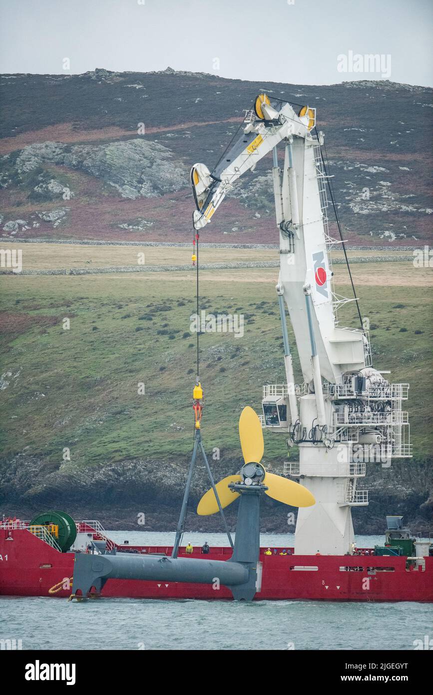 Dynamisches Positionierungsschiff Siem Daya 1 mit Gezeitenenergieturbine in Ramsey Sound, West Wales 30.12.15 Stockfoto