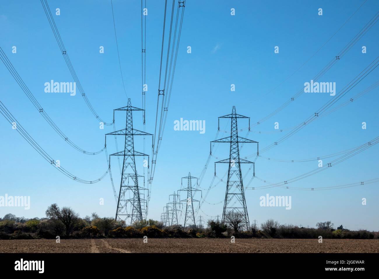 Oberleitungen, die in die Entfernung zurücktreten und landwirtschaftliche Flächen und Felder durchqueren Stockfoto