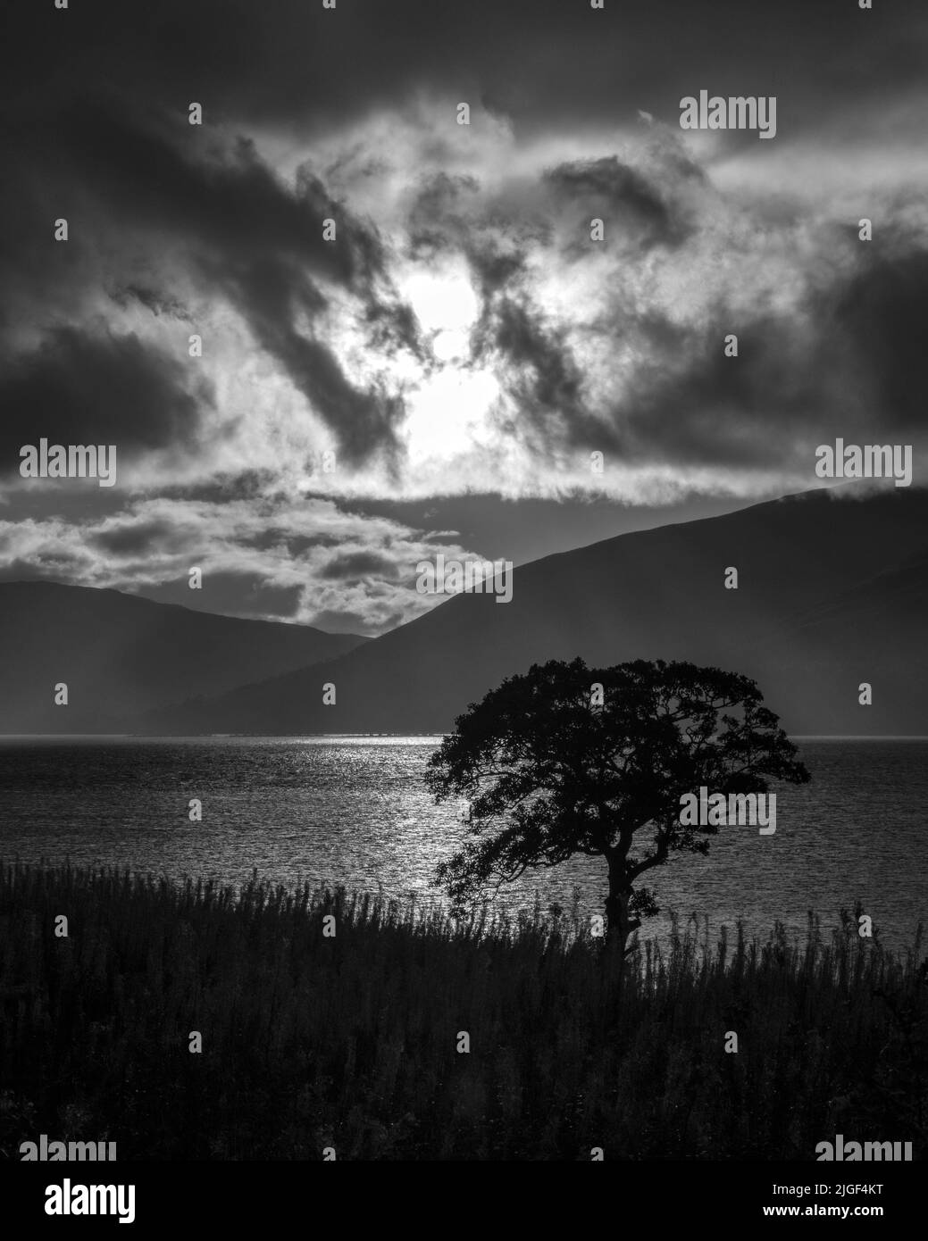 Ein stimmungsvoller Blick über Loch Linnhe von Fort William in den Highlands von Schottland, Großbritannien. Stockfoto