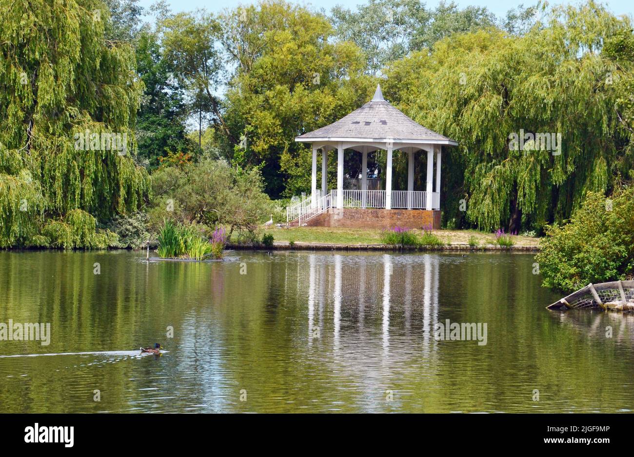 Bandstand auf der Insel Watermead, Aylesbury, Buckinghamshire, England, Großbritannien Stockfoto