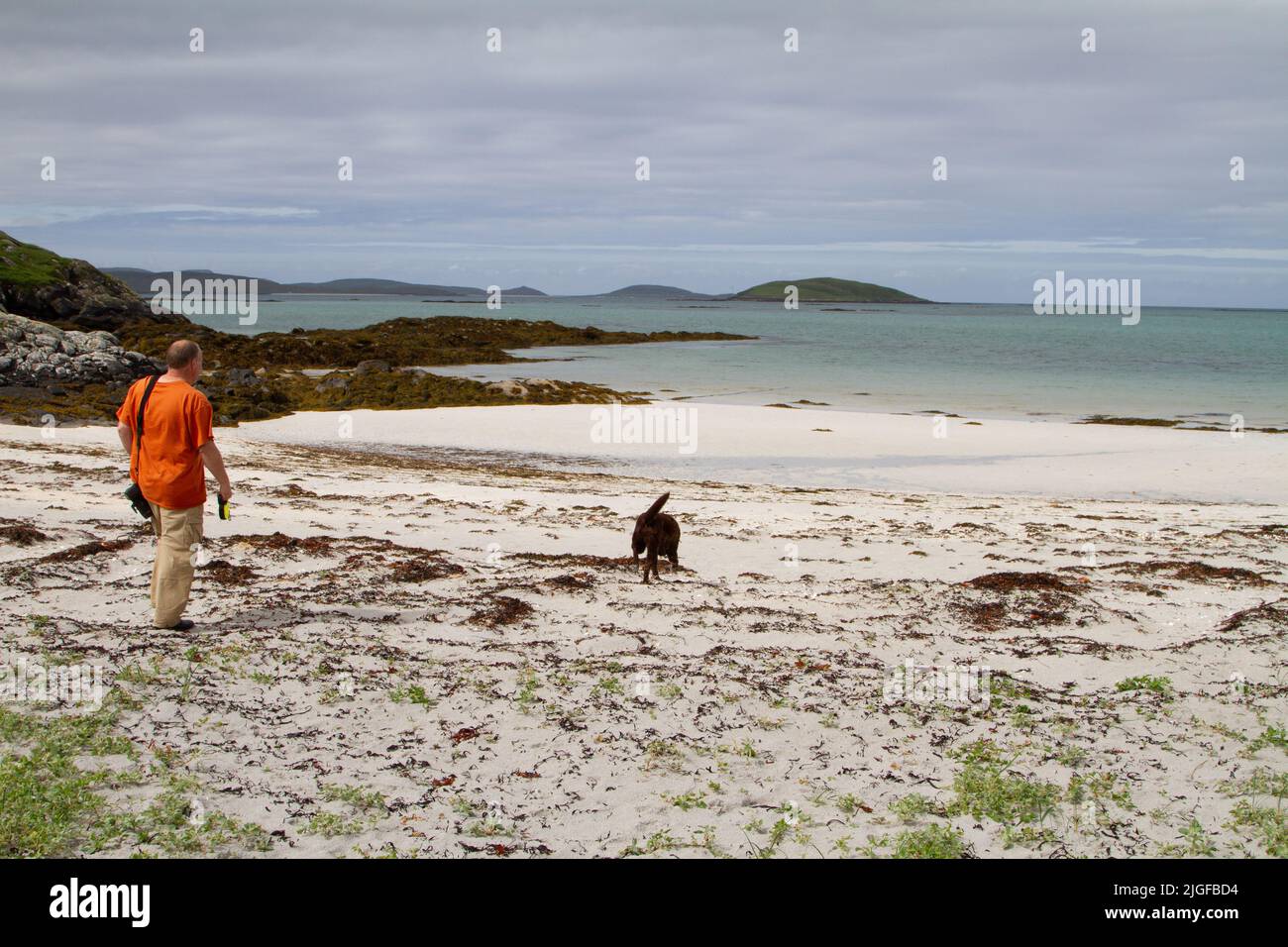 Mann mittleren Alters in einem orangefarbenen T-Shirt an einem Strand auf Eriskay mit einem begierigen labrador aus Schokolade Stockfoto