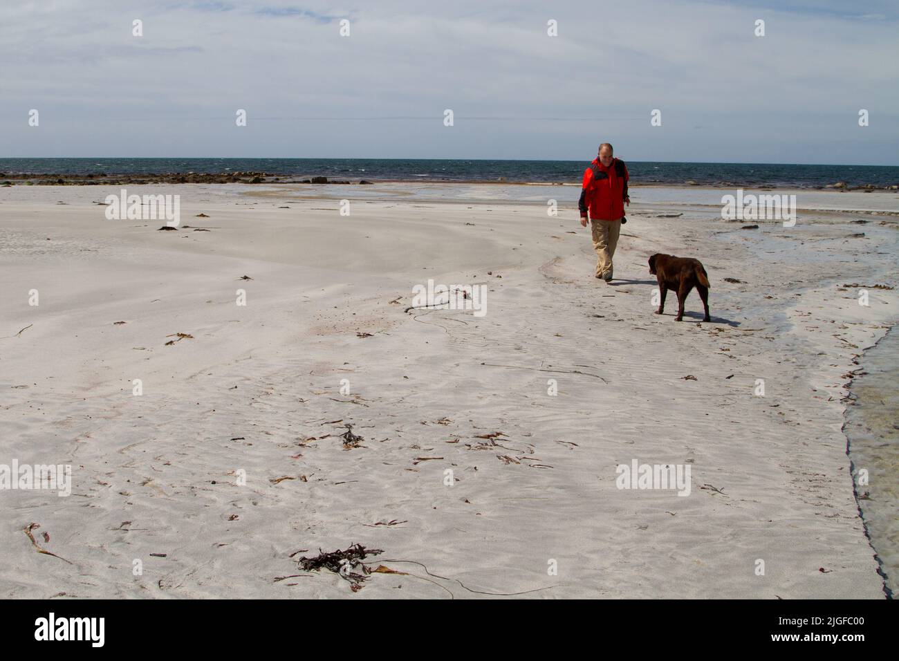 Hund ungeduldig, mit einem Mann mittleren Alters in einem roten Mantel auf Gearraidh na Monadh Beach, South Uist zu spielen Stockfoto