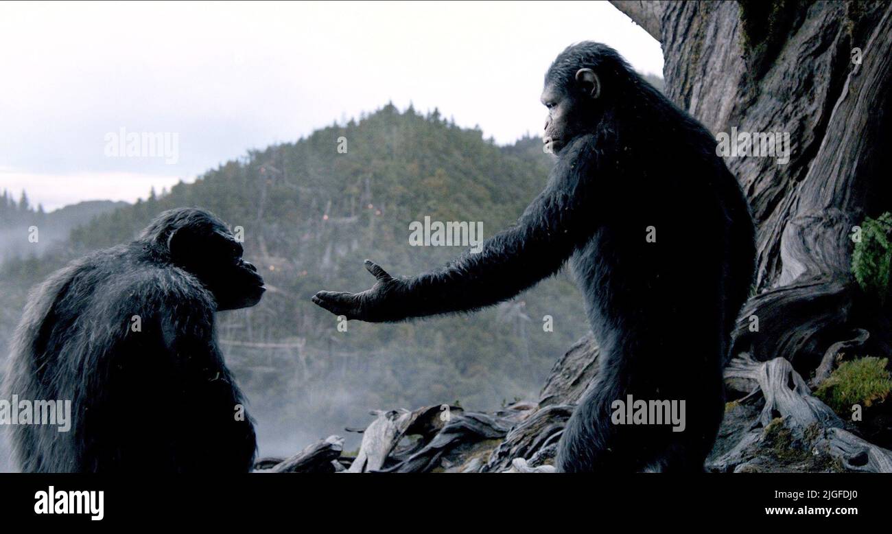 Affen, Morgenröte der Planet der Affen, 2014 Stockfoto