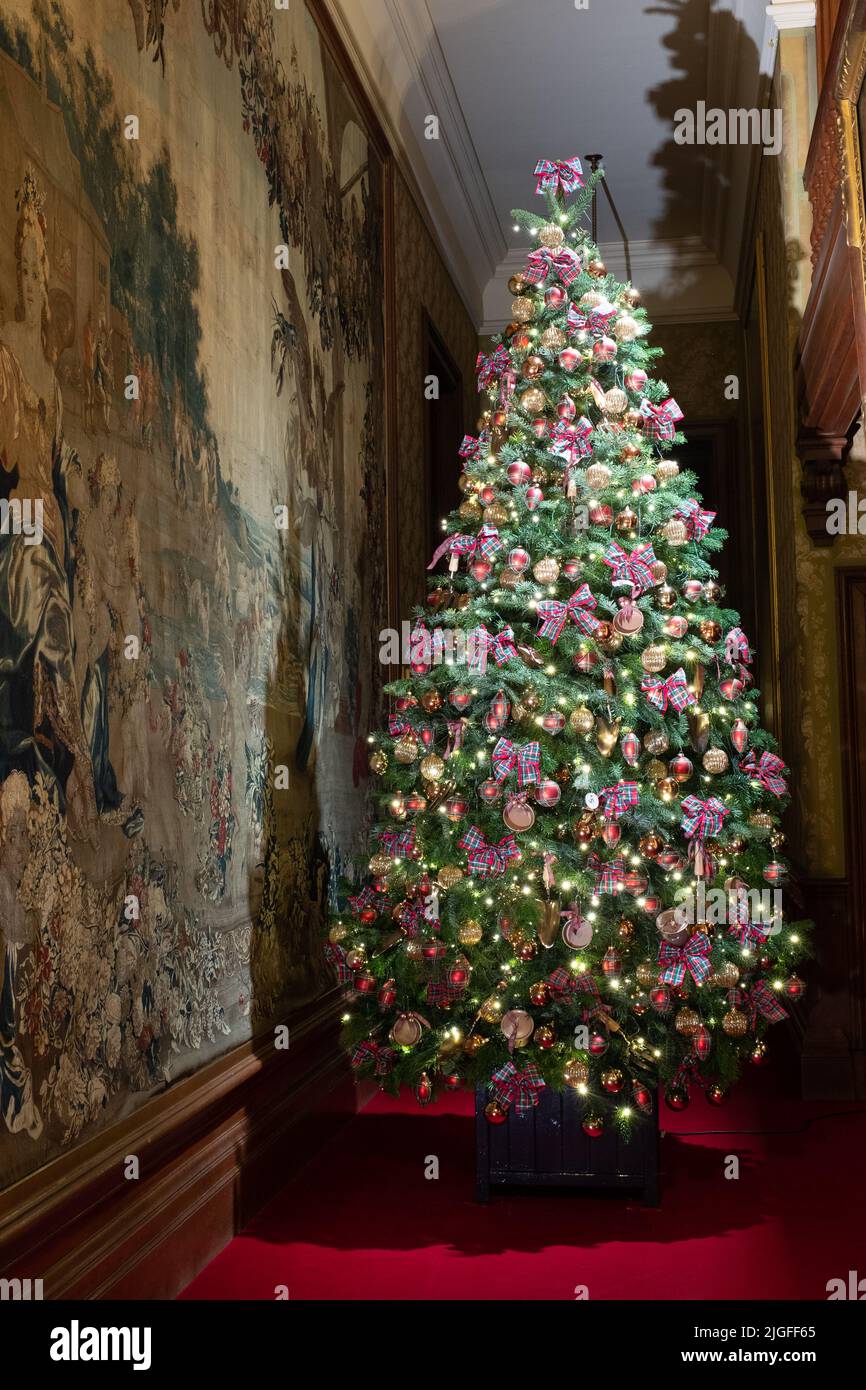 Waddesdon Manor in Buckinghamshire sieht atemberaubend aus, geschmückt mit Weihnachtsbäumen, beleuchteten Lichtern und anderen festlichen Dekorationen. Stockfoto