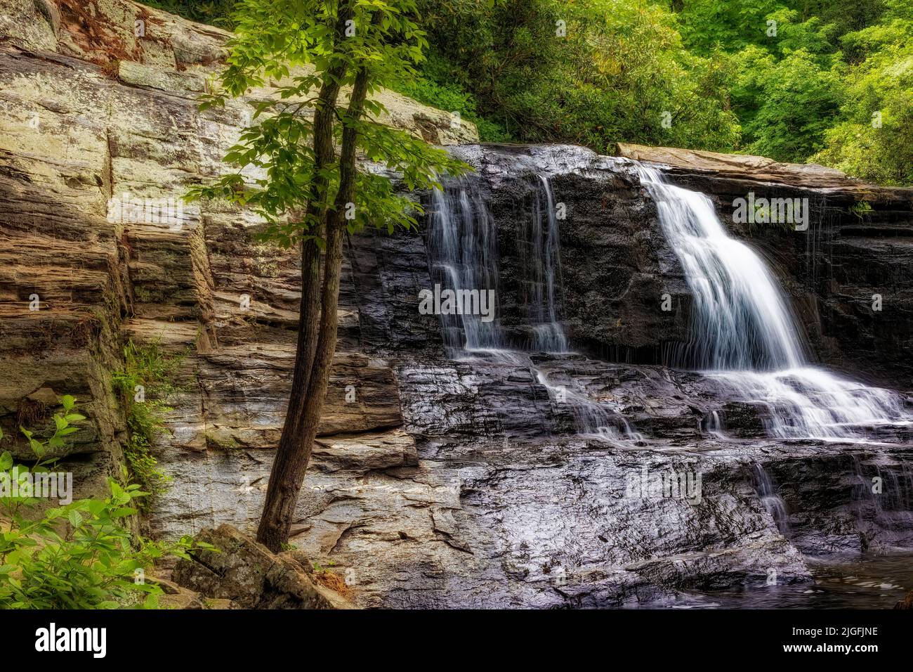 Hooker Falls ist einer von vier großen Wasserfällen am Little River im Dupont Forest von North Carolina. Stockfoto