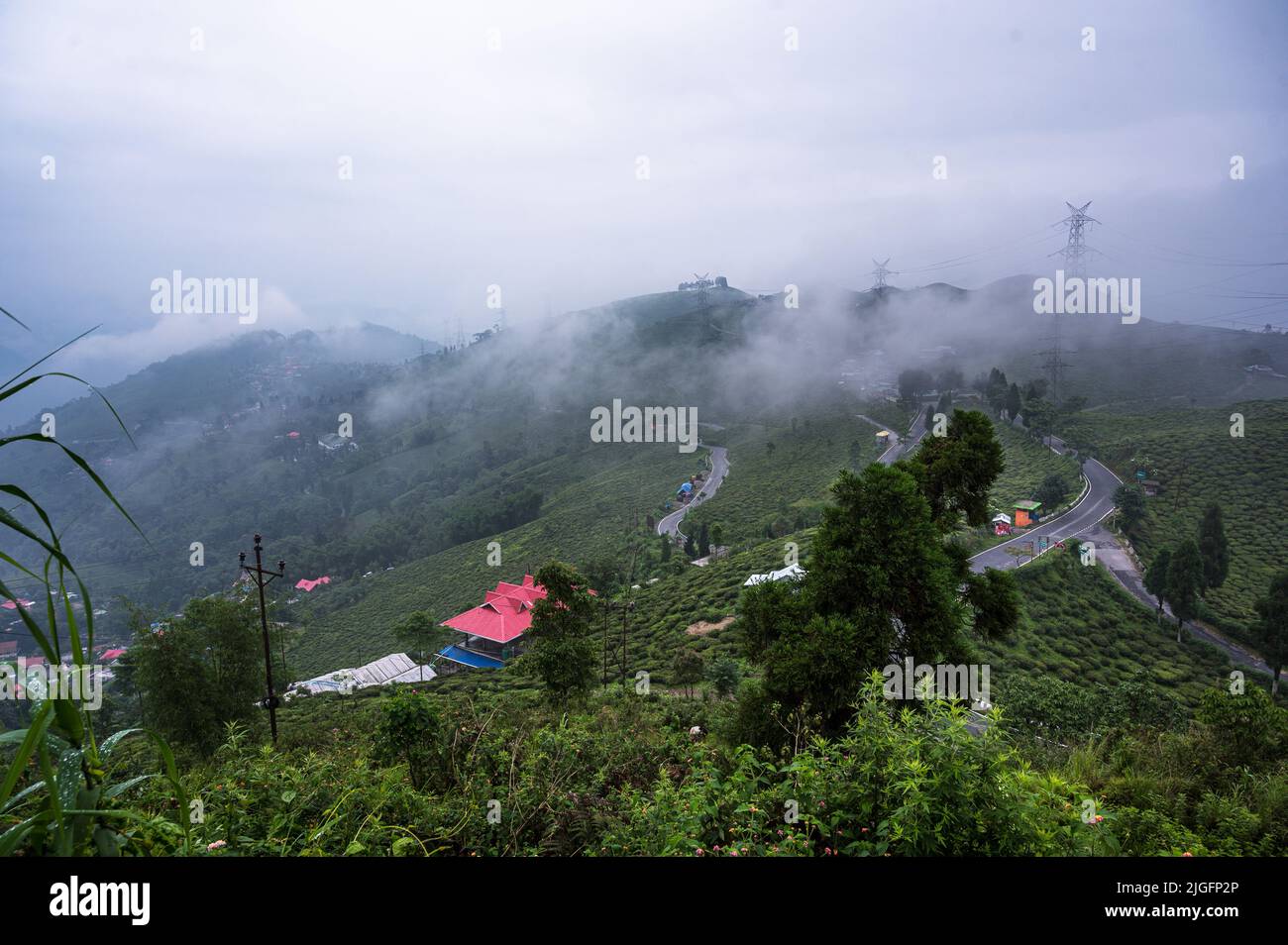 Das Mirik-Tal ist das ganze Jahr über mit Teesträuchern bedeckt. Weibliche Teezucker pflücken Teeblätter während des Monsuns wolkige Morgen in der kleinen Stadt von North Bengal Darjeeling Bezirk -Mirik. Die Strommasten in diesen Gärten sind das einzige Medium für den Stromanschluss auf dem ganzen Hügel. Nach Angaben der Darjeeling Tea Association betrug die Teeproduktion von Darjeeling im Vorjahr rund 7 Millionen kg und die Exporte lagen im Bereich von 3 bis 3,5 Millionen kg. Westbengalen, Indien. Stockfoto