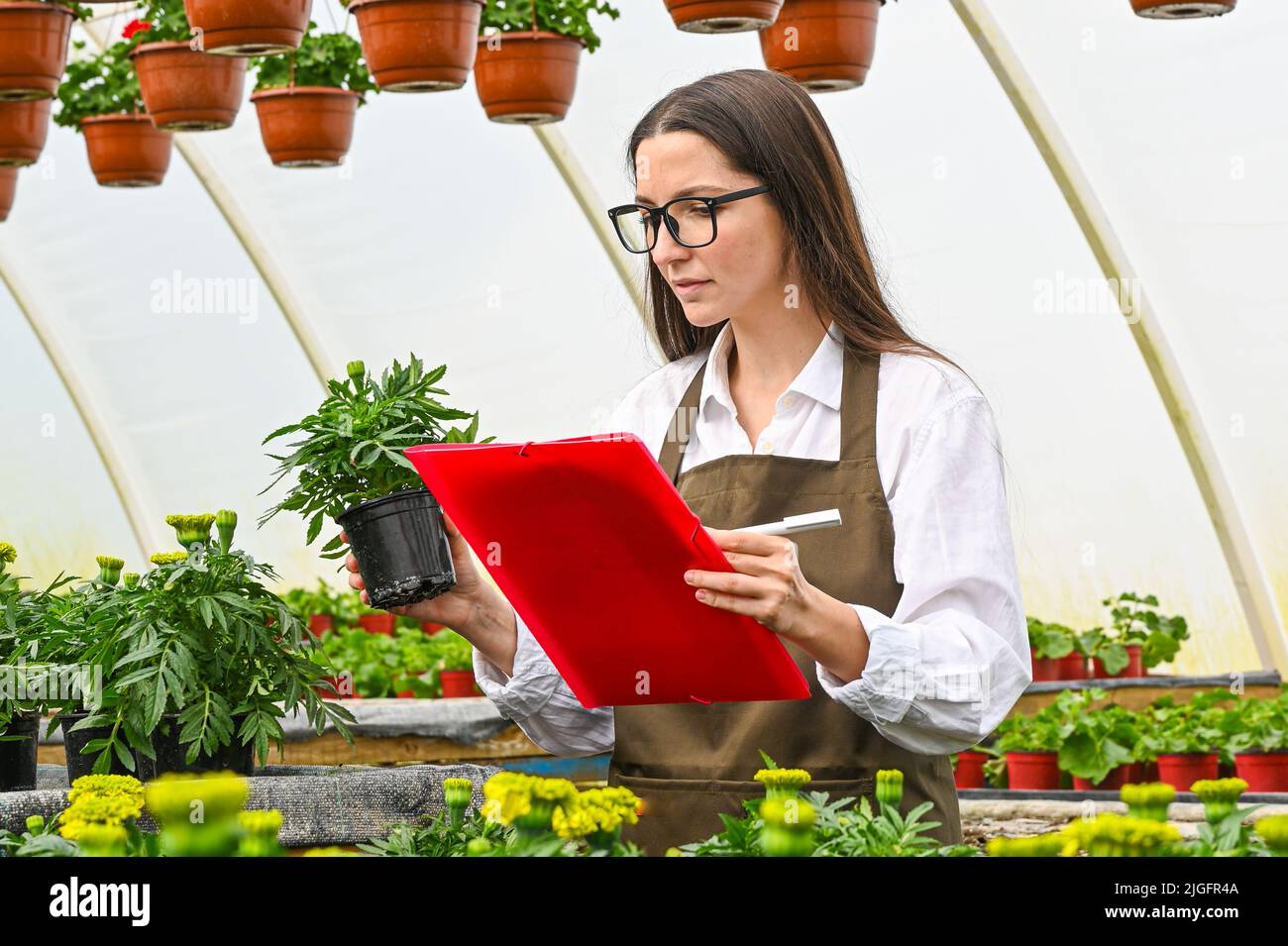 Frau, die in einem Gartencenter arbeitet und sich ihre Pflanzen notiert. Weibliche Gärtnerin, die Blumen in einem Gewächshaus produziert. Stockfoto