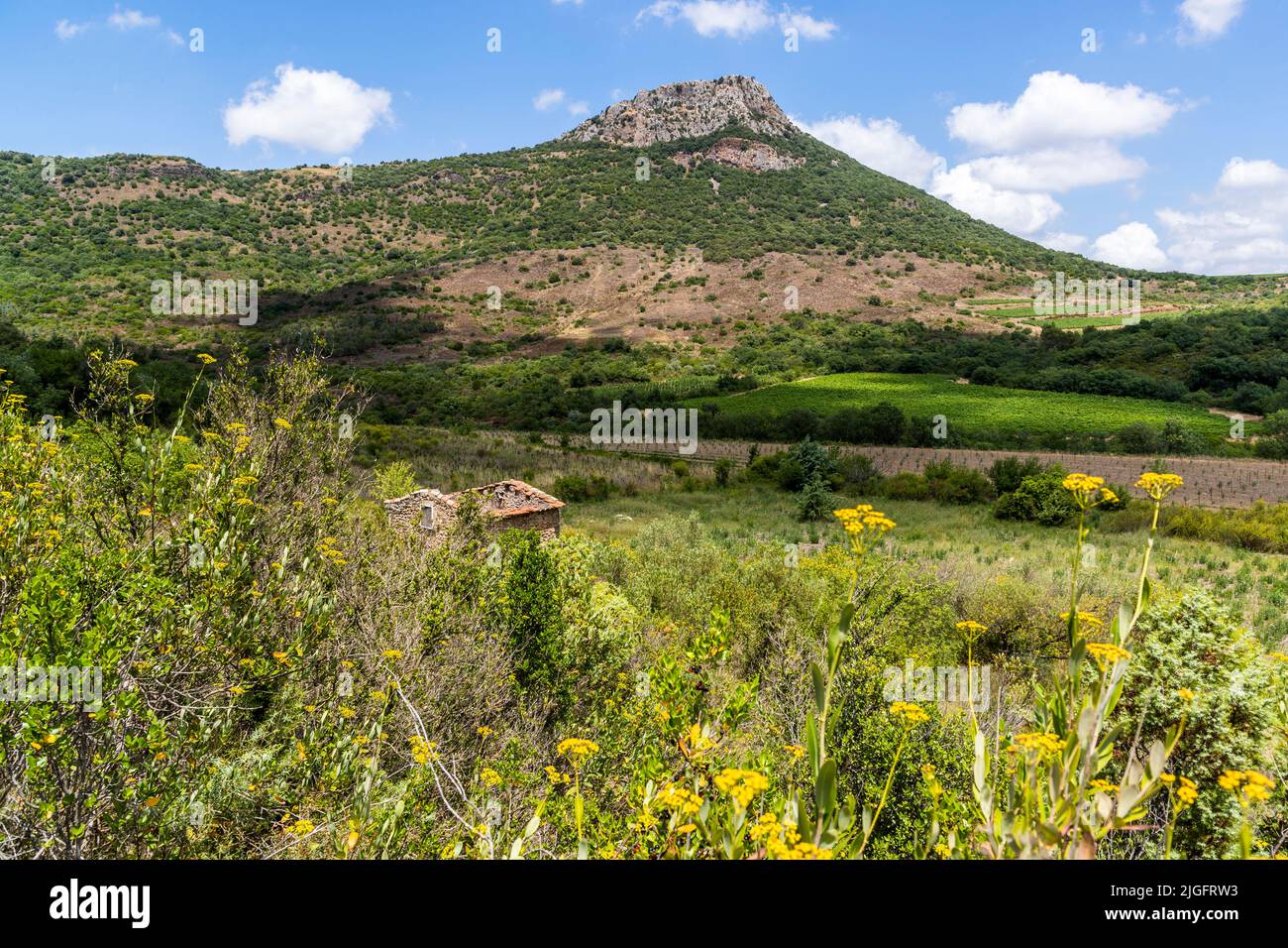 Pic de Vissou in der Nähe von Lodève, Frankreich Stockfoto