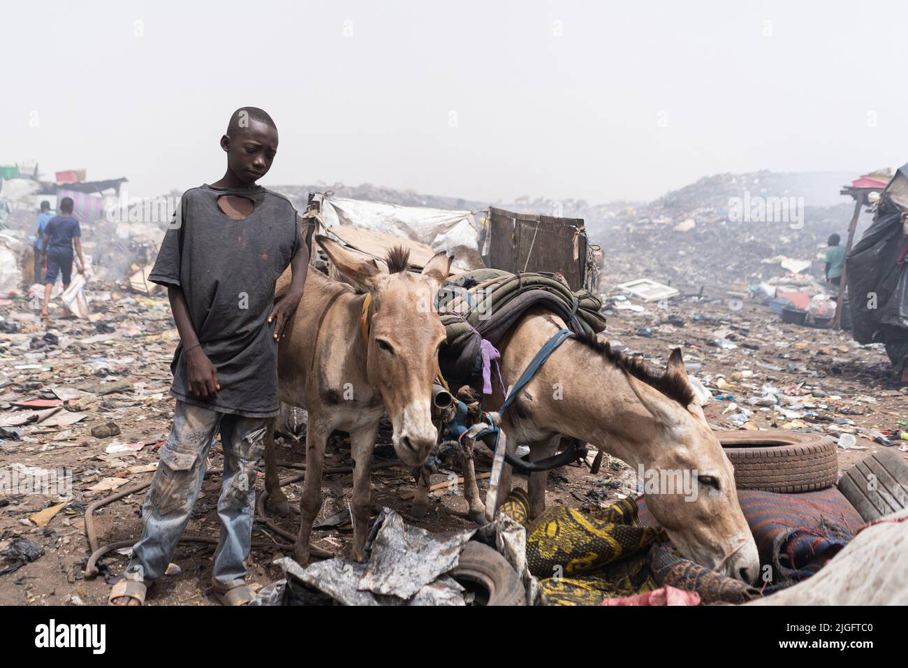 Junger afrikanischer Eselkarren-Fahrer, der Hausmüll auf eine städtische Deponie bringt Stockfoto