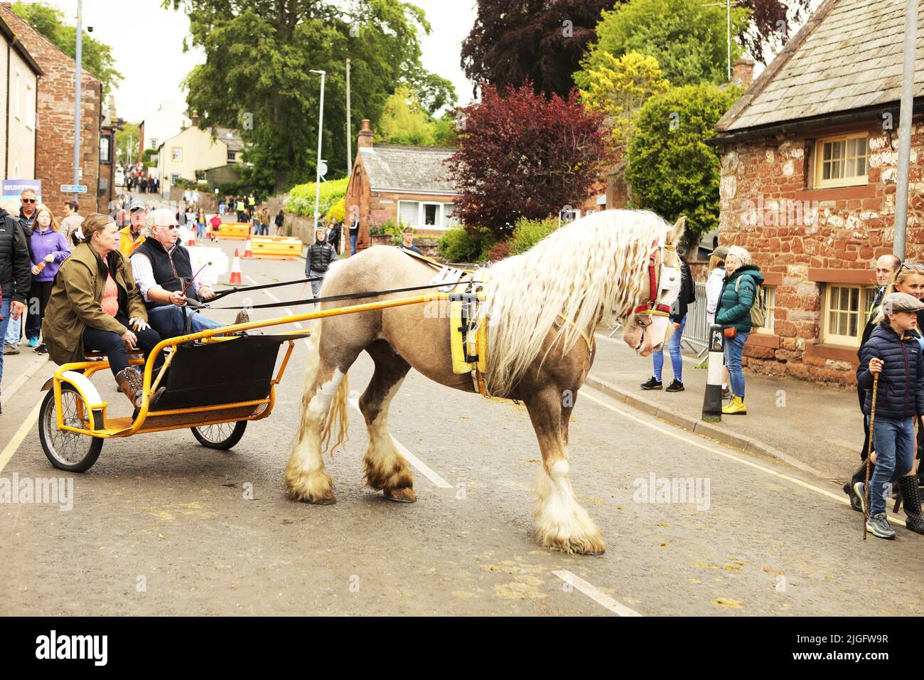 Ein palomino-Pferd, das ein Paar in eine Falle zieht, Appleby Horse Fair, Appleby in Westmorland, Cumbria Stockfoto