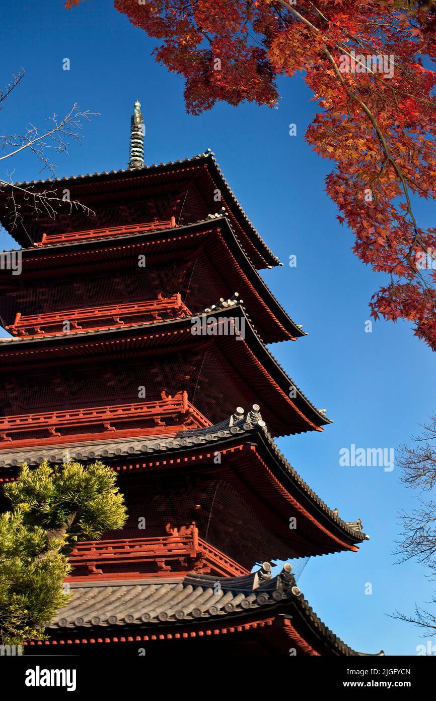 Fünfstöckige Pagode Autumn Ikegami Honmonji Temple Tokyo Japan Stockfoto
