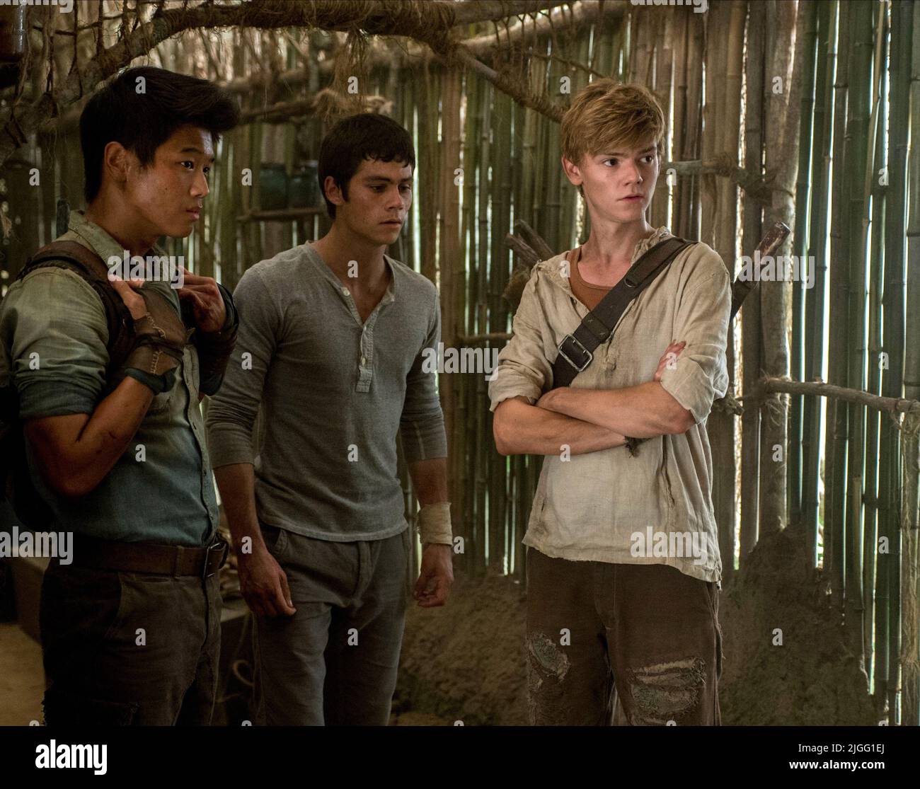 KI HONG LEE, DYLAN O'BRIEN, THOMAS BRODIE SANGSTER, DAS LABYRINTH