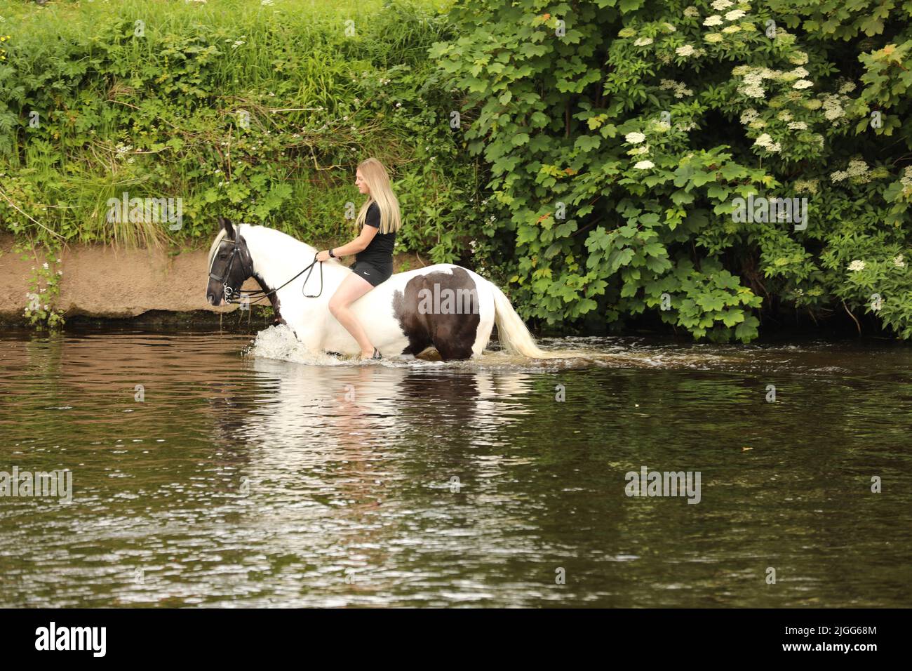 Eine junge Frau auf ihrem Pferd im Fluss Eden, Appleby Horse Fair, Appleby in Westmorland, Cumbria Stockfoto