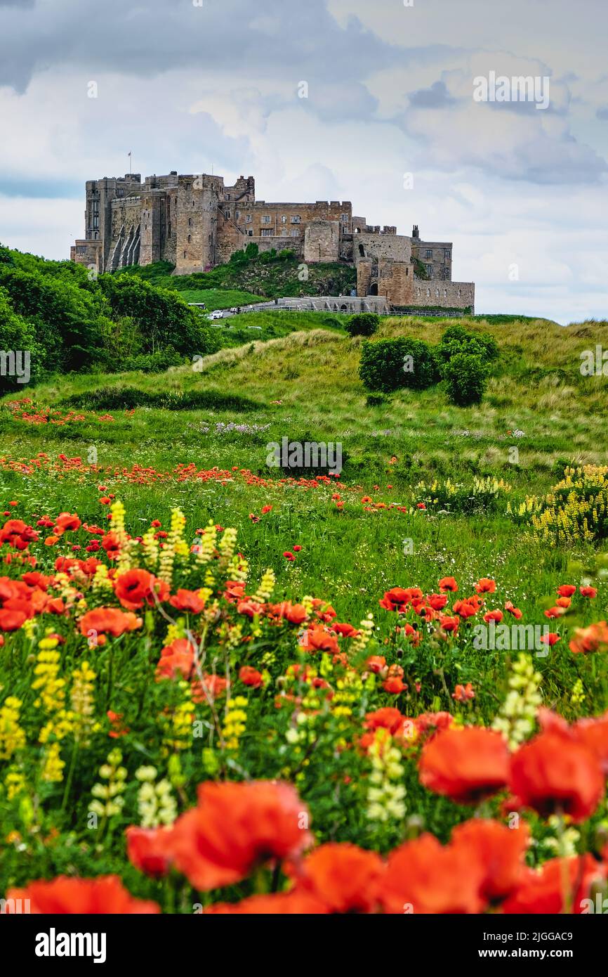 Bamburgh Castle Stockfoto
