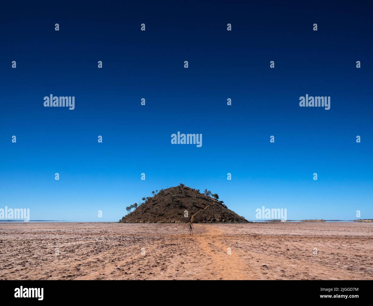 Einer der Lake Ballard. „Salt People“ von Sir Antony Gormley (mit dem Titel „Inside Australia“) vor einem kleinen Hügel am trockenen Salzsee. Stockfoto