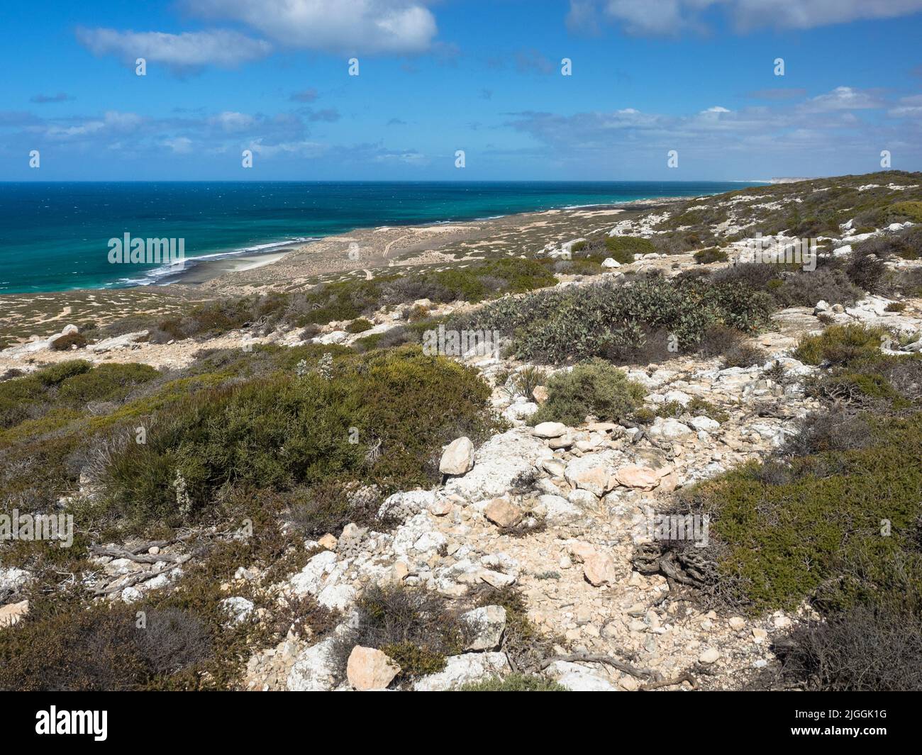 Die Great Australian Bight and Southern Ocean in der Nähe von Omer Beach und die westaustralische Grenze an der Nullab-Ebene, Südaustralien Stockfoto