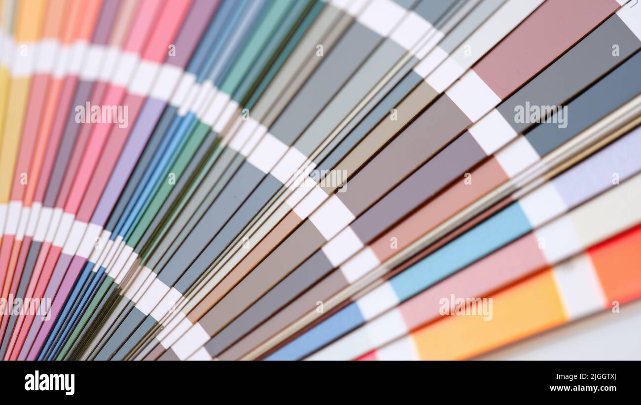 Palettenfächer in verschiedenen mehrfarbigen Farbmustern für den Katalog Stockfoto