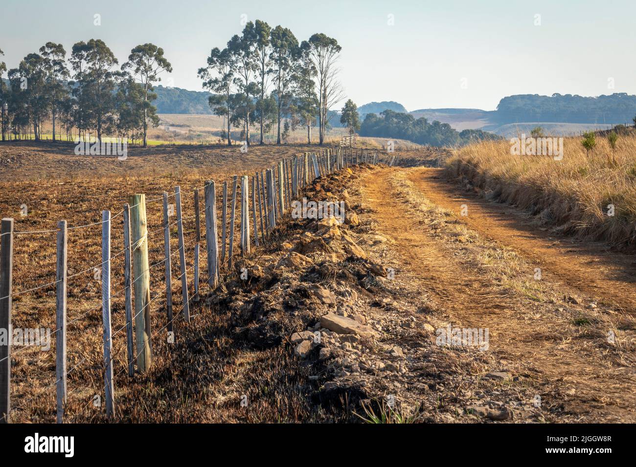 Feldweg in idyllischer Landschaft - Rio Grande do Sul, Südbrasilien Stockfoto