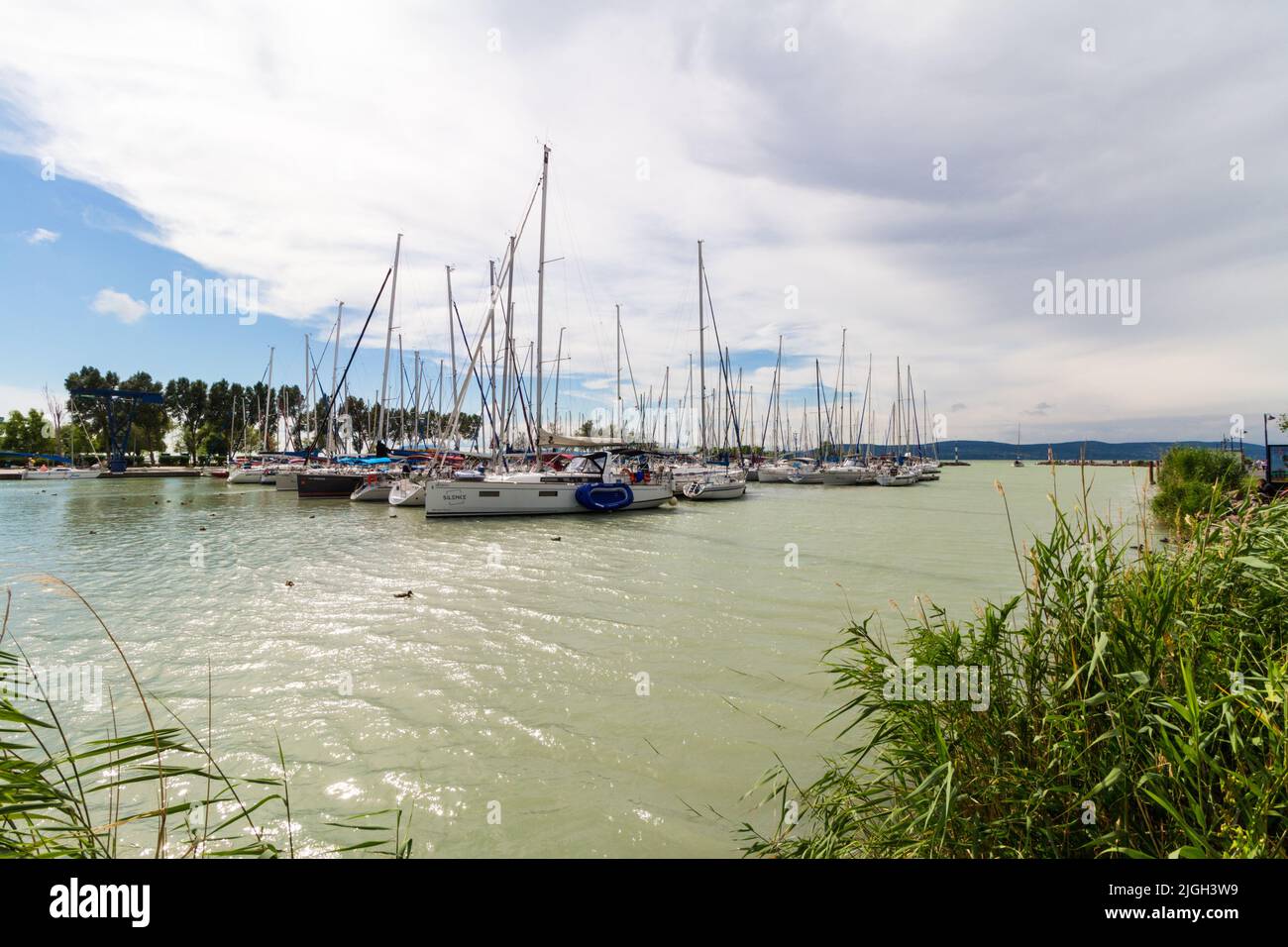 Boote und Yachten im Hafen am Balaton Südküste, Balatonlelle, Ungarn gebunden Stockfoto