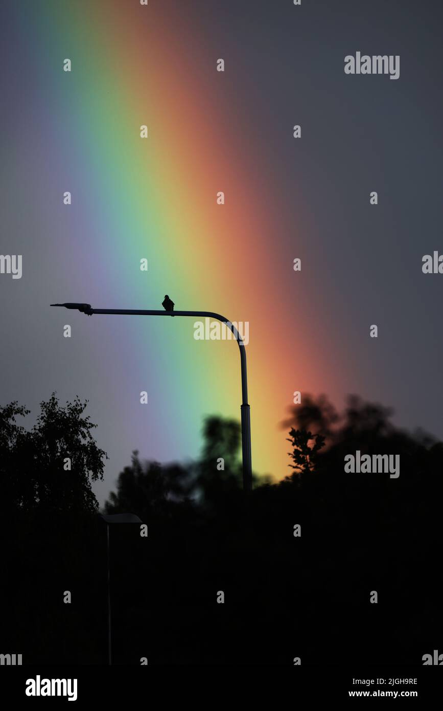 Motala, Schweden. 10., Juli 2022. Doppelter Regenbogen über der Stadt Motala, Schweden, während des Sonntagabends. Ein Regenbogen ist ein meteorologisches Phänomen, das durch Reflexion, Brechung und Ausbreitung von Licht in Wassertröpfchen verursacht wird, was zu einem Spektrum von Licht am Himmel führt. Quelle: Jeppe Gustafsson/Alamy Live News Stockfoto