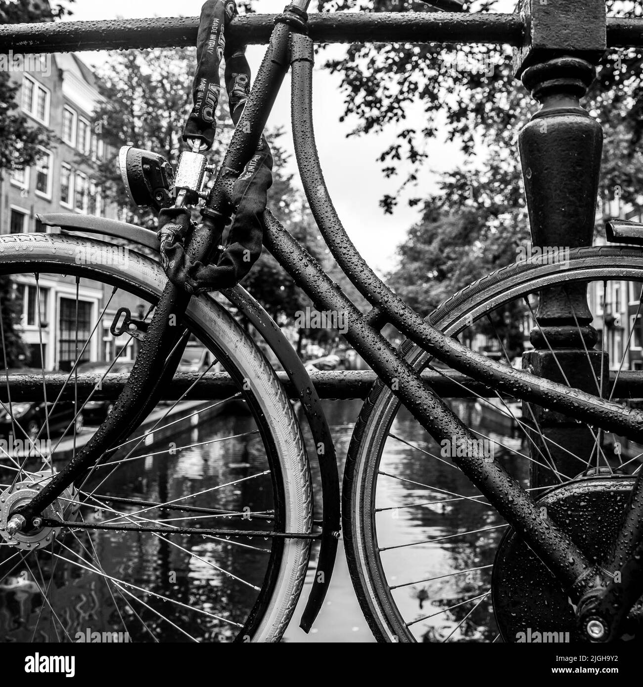 Quadratisches Bild von niederländischen Fahrrädern Stockfoto