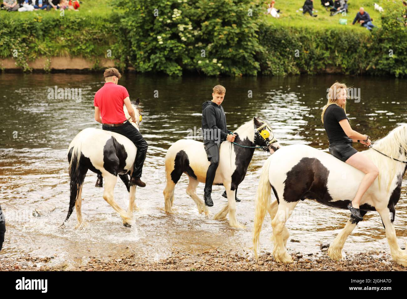 Junge Reisende und ihre Pferde im Fluss Eden, Appleby Horse Fair, Appleby in Westmorland, Cumbria Stockfoto