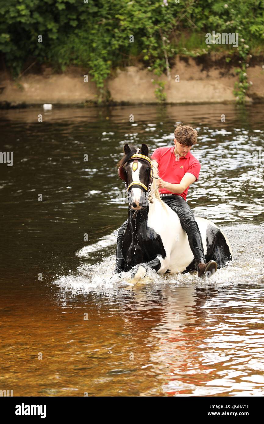 Ein junger Mann und sein Pferd im Fluss Eden, Appleby Horse Fair, Appleby in Westmorland, Cumbria Stockfoto