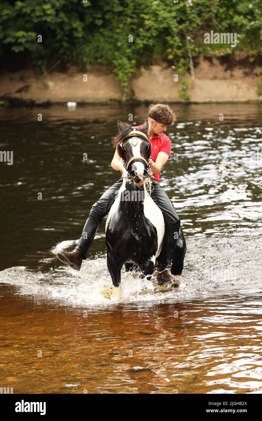 Ein junger Mann und sein Pferd im Fluss Eden, Appleby Horse Fair, Appleby in Westmorland, Cumbria Stockfoto