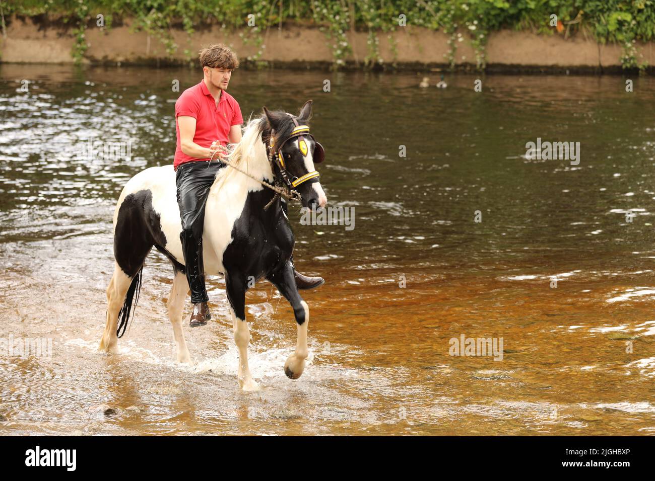 Ein junger Mann und sein Pferd im Fluss Eden, Appleby Horse Fair, Appleby in Westmorland, Cumbria Stockfoto