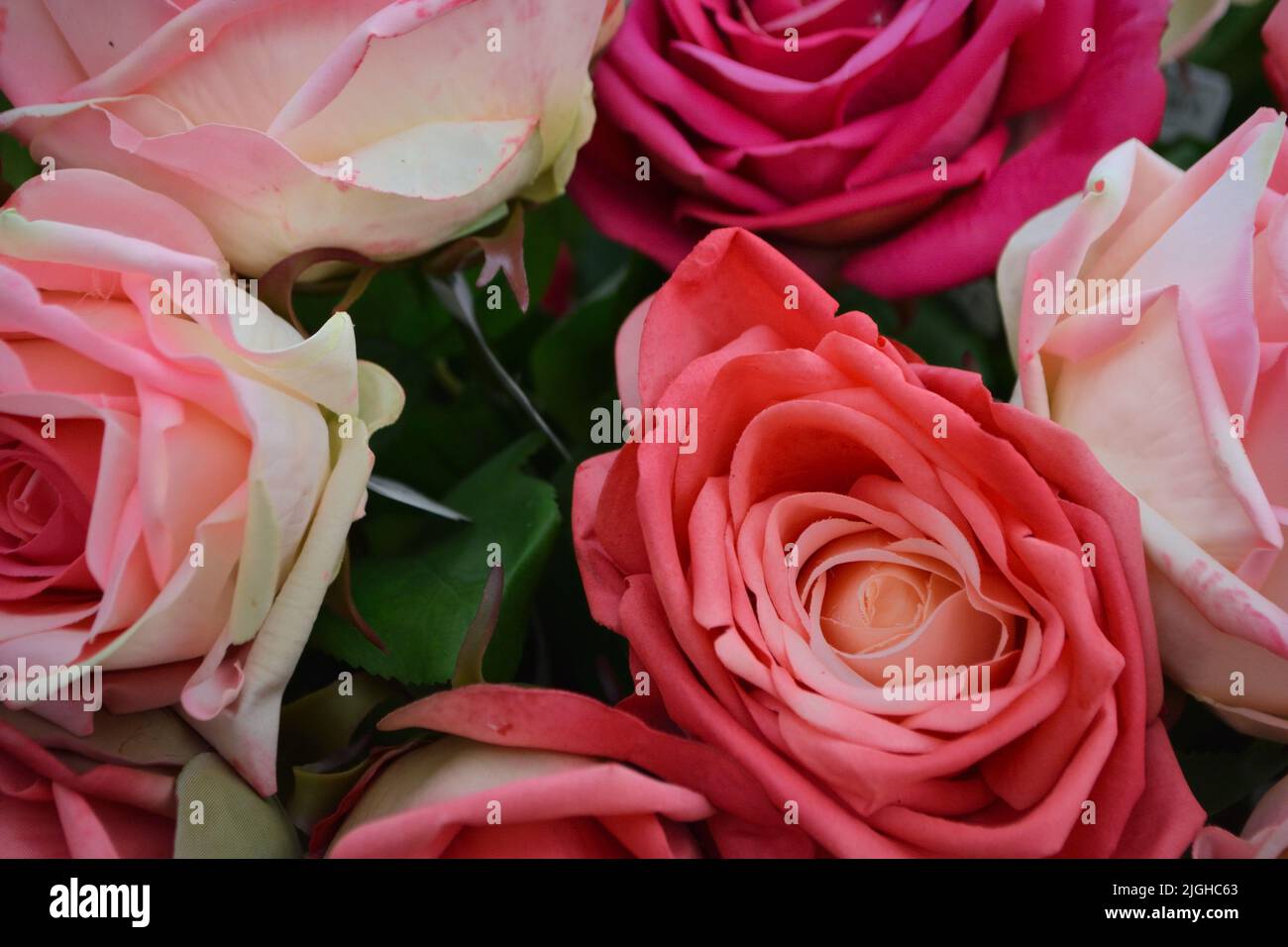 Hintergrundbild von rosa Rosen in einem Strauß Stockfoto