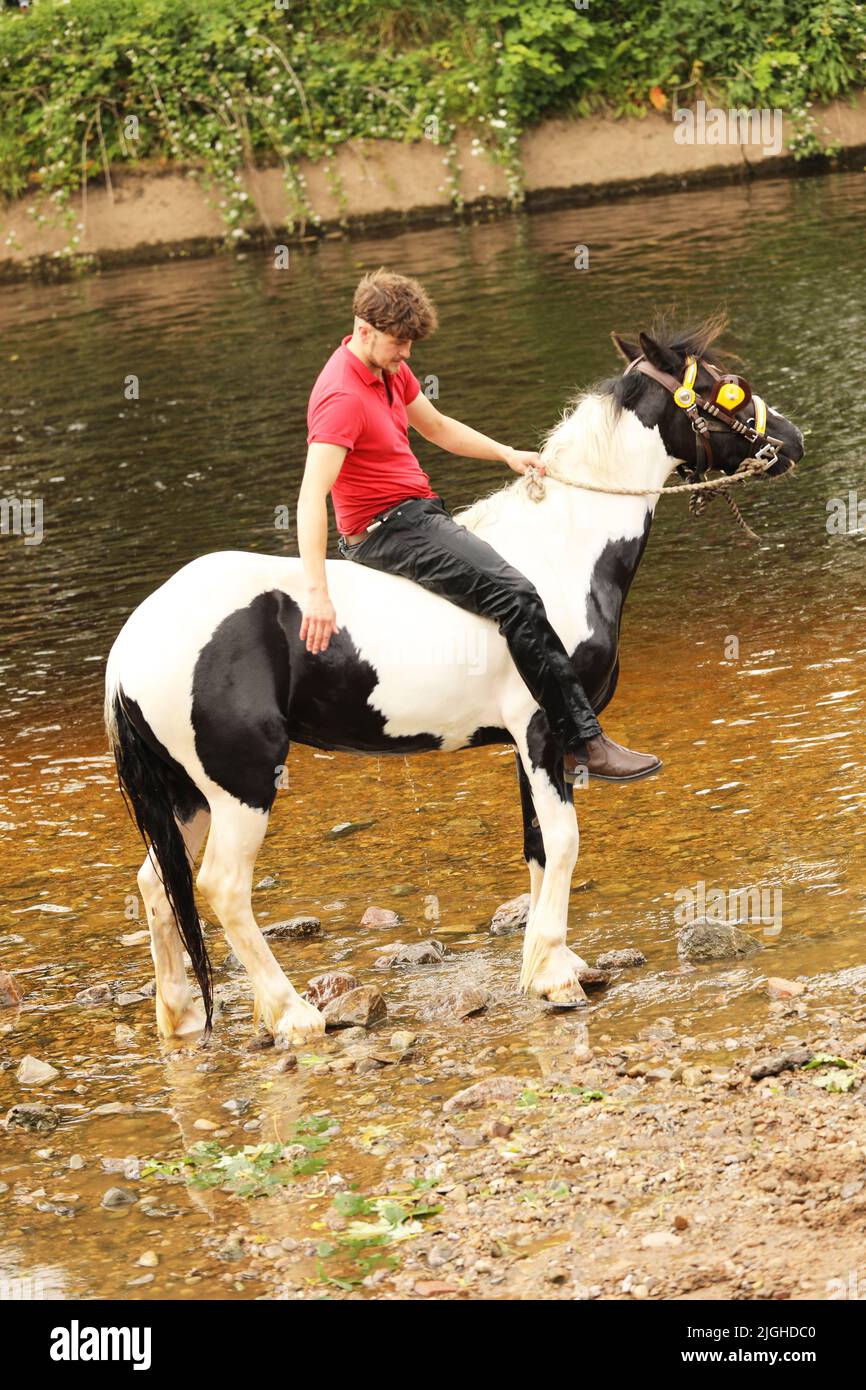 Ein junger erwachsener Mann, der auf einem farbigen Zigeunerpferd reitet, River Eden, Appleby Horse Fair, Appleby in Westmorland, Cumbria Stockfoto