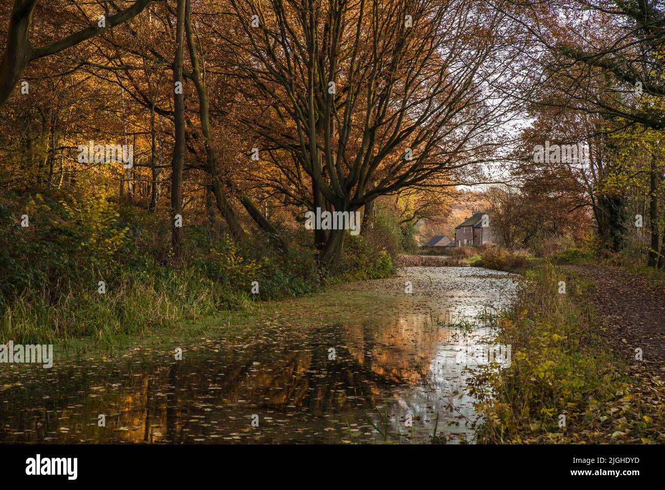 Herbstlicher Blick auf den Cromford Canal in der Nähe von Ambergate, Derbyshire, Großbritannien Stockfoto