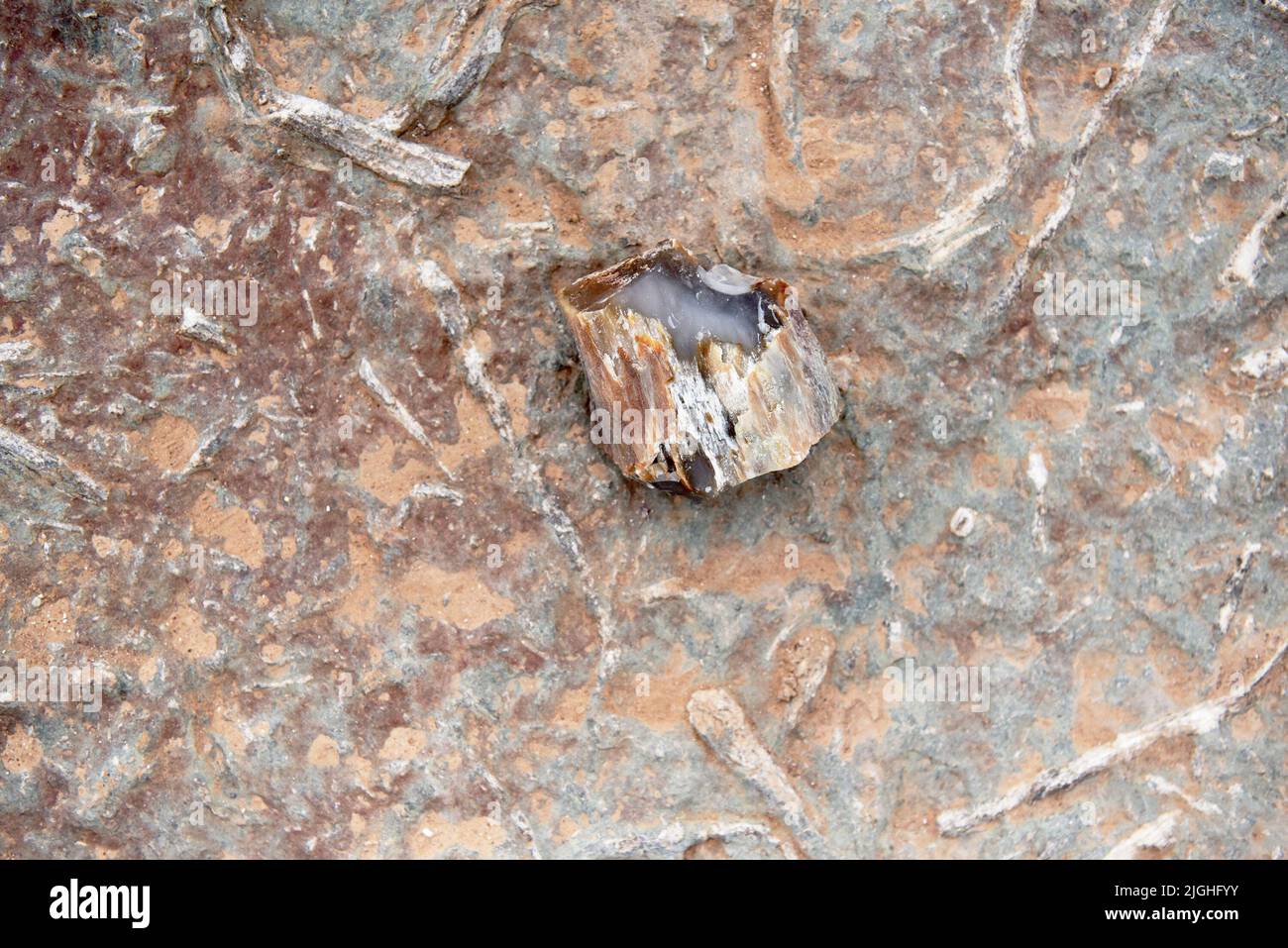 ZHANGJIAKOU, CHINA - 11. JULI 2022 - Baumfossilien werden am Dinosaurier-Fußabdruck-Fossil-Standort im Dorf Lishi, Stadt Guocun, Bezirk Xuanhua, Zhan, gesehen Stockfoto