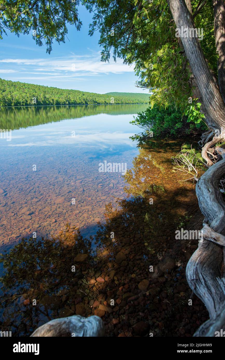 Reife Bäume am Ufer des kristallklaren Wassers des Lake Fanny Hooe Stockfoto