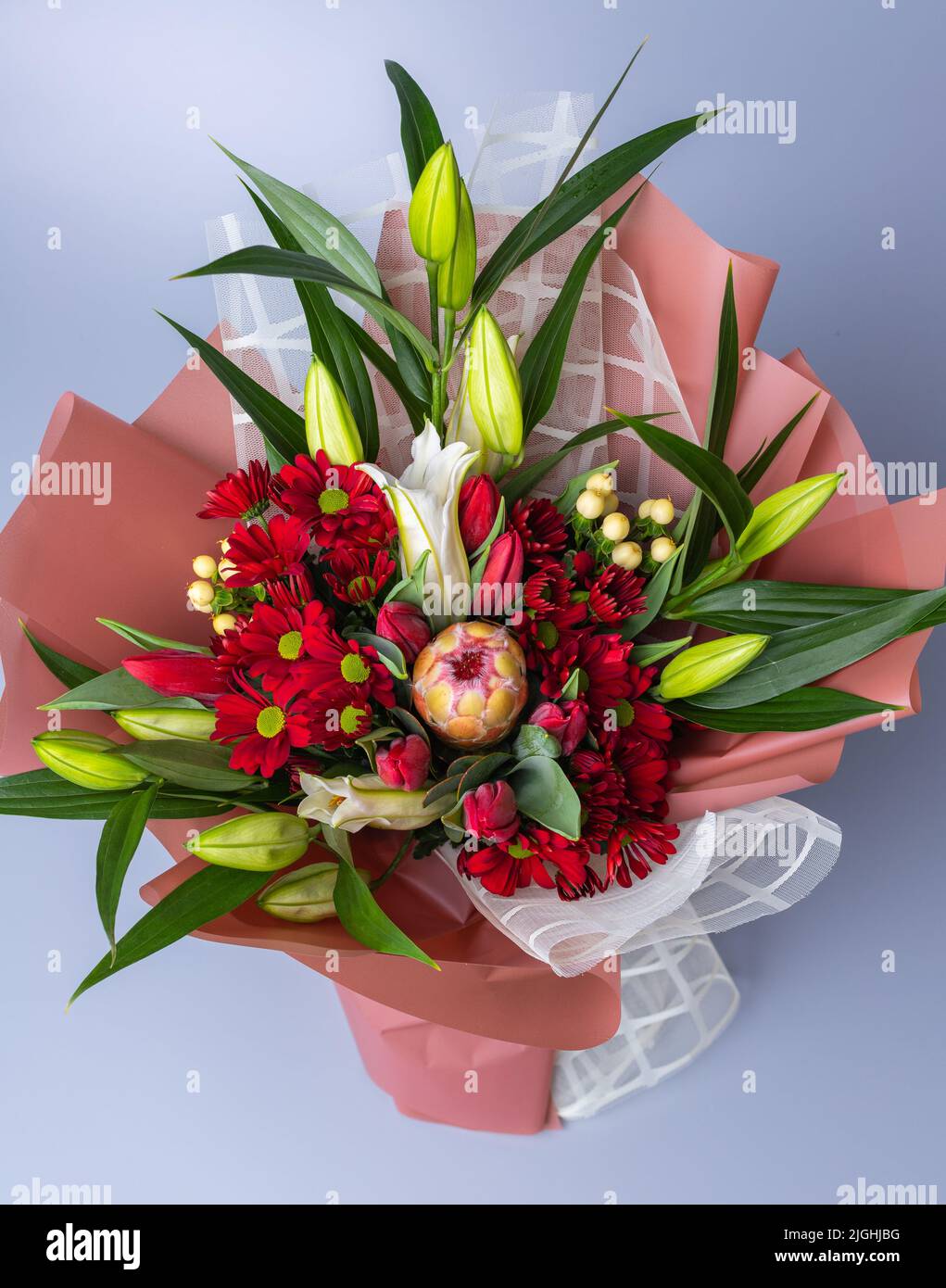 Draufsicht auf einen Blumenstrauß, der in einer weißen und rosa Verpackung verpackt ist, steht auf blauem Hintergrund. Festlich gepackter Bukett mit roten Chrysanthemen und Stockfoto