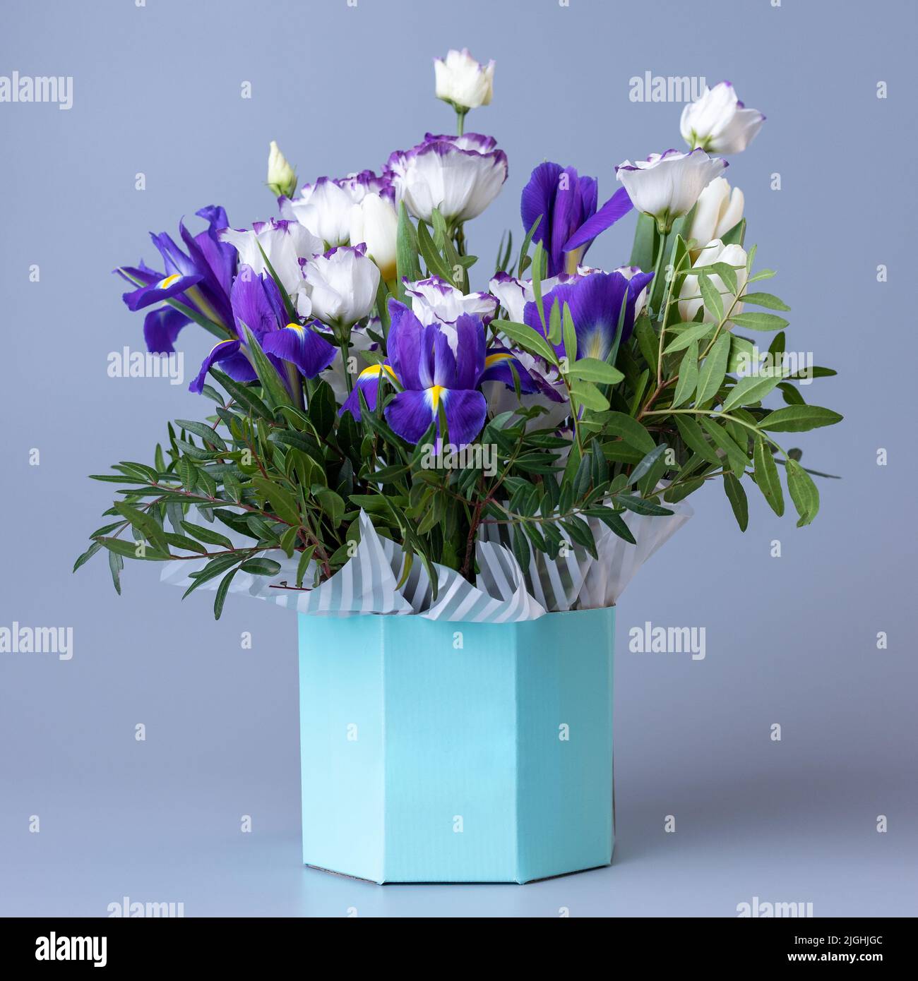 Originelles, helles Bouquet mit weißen Ustoma, Tulpen, lila Iris und grünen Zweige. Strauß von eustoma in einer türkisfarbenen Pappschachtel auf einem BL Stockfoto